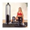 Body-Solid Inner & Outer Thigh Machine GIOT-STK