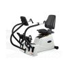 Body Charger Dual Action Recumbent Stepper