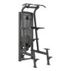 Toorx Absolute Line Assisted pull up/chin up/dip PLX 8400